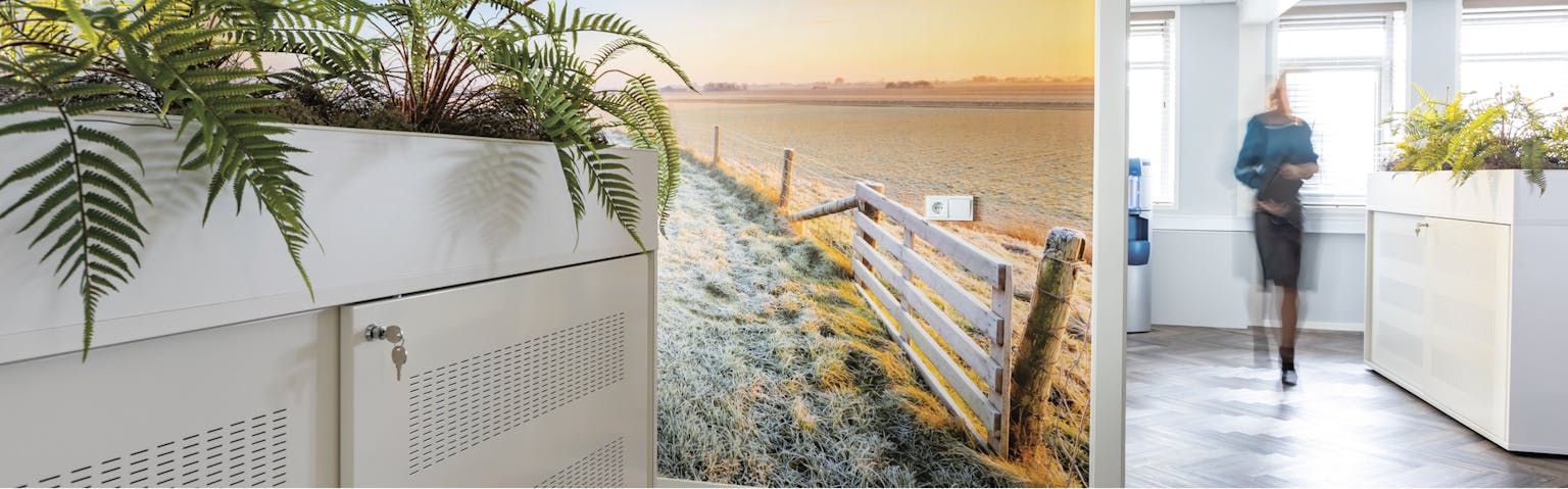 Kantoorruimte met een visual van een zeelandschap op de muur en aan weerszijden witte systeemkasten met een plantenbak erbovenop.