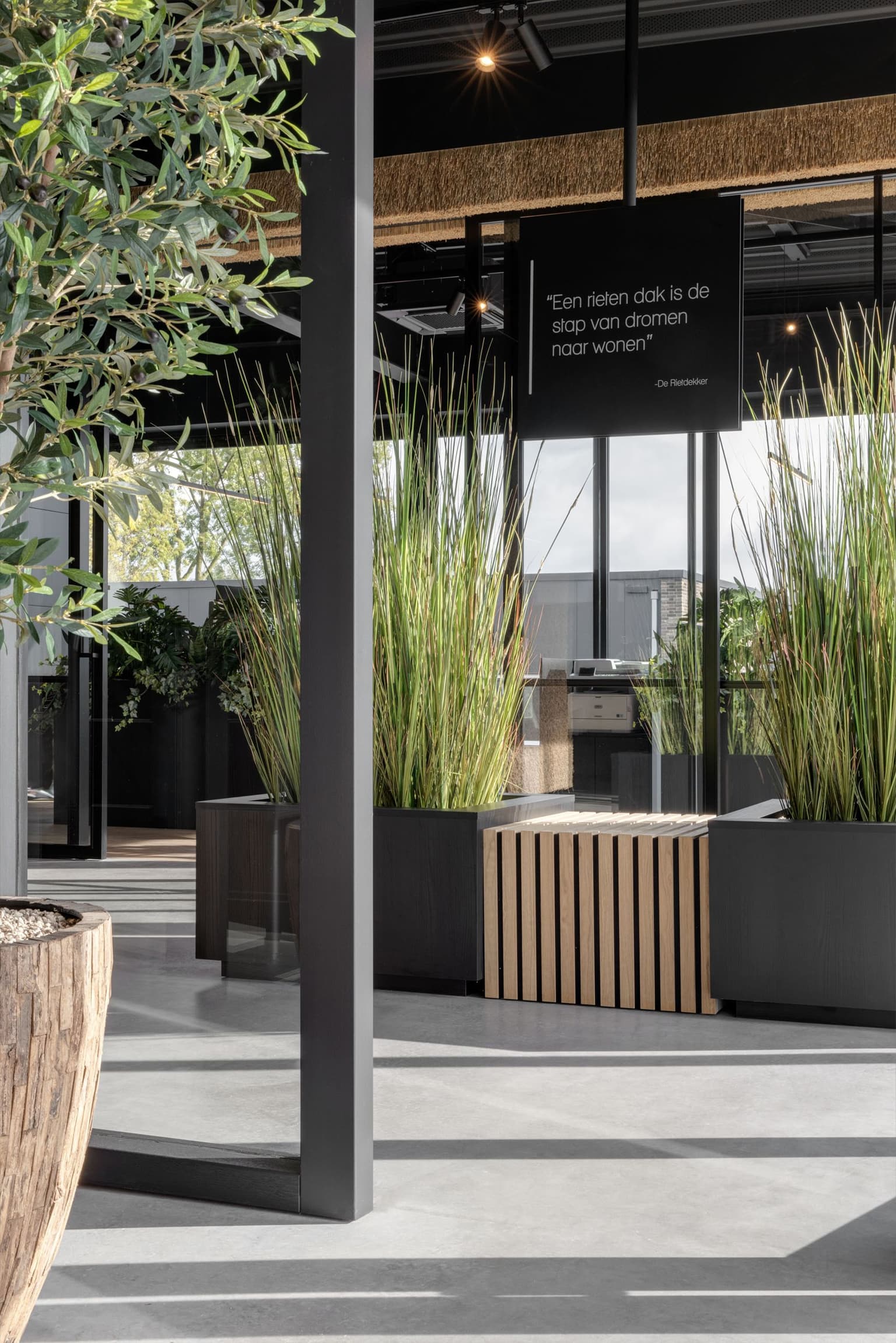 Plantenbakken op kantoor met hoog groen gras erin. 