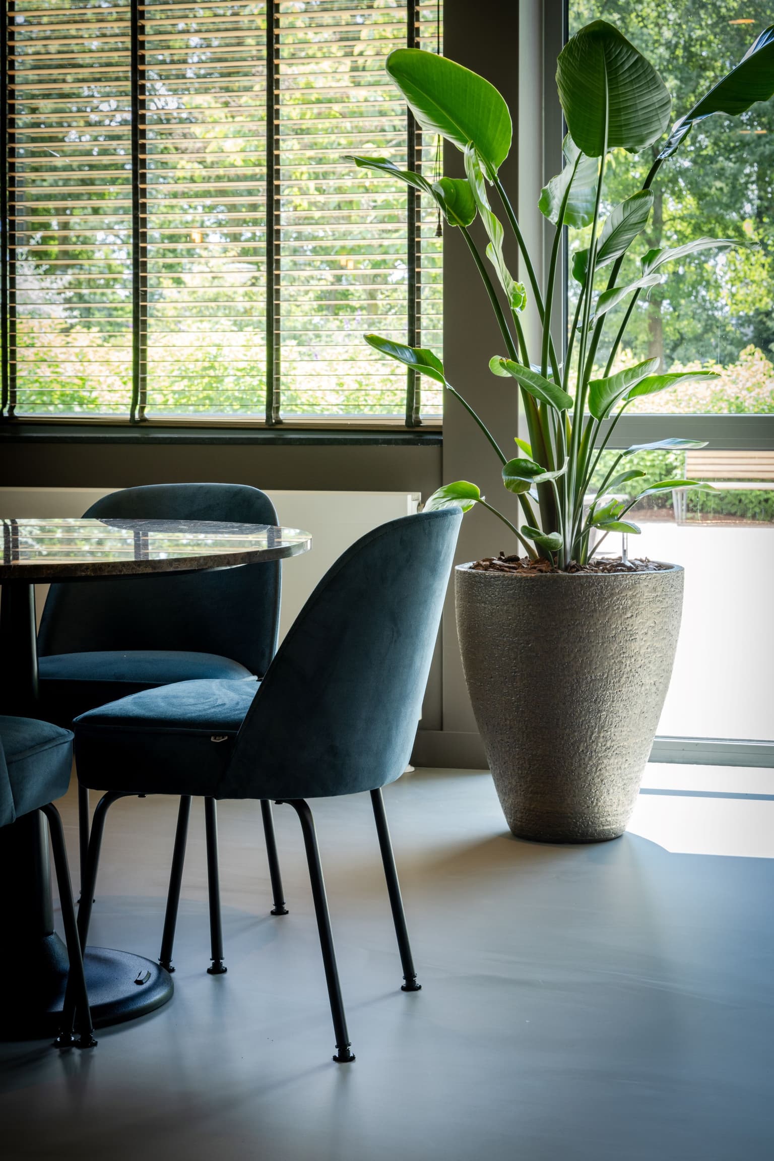 Kantinetafels en kantinestoel voor een grote plant. 