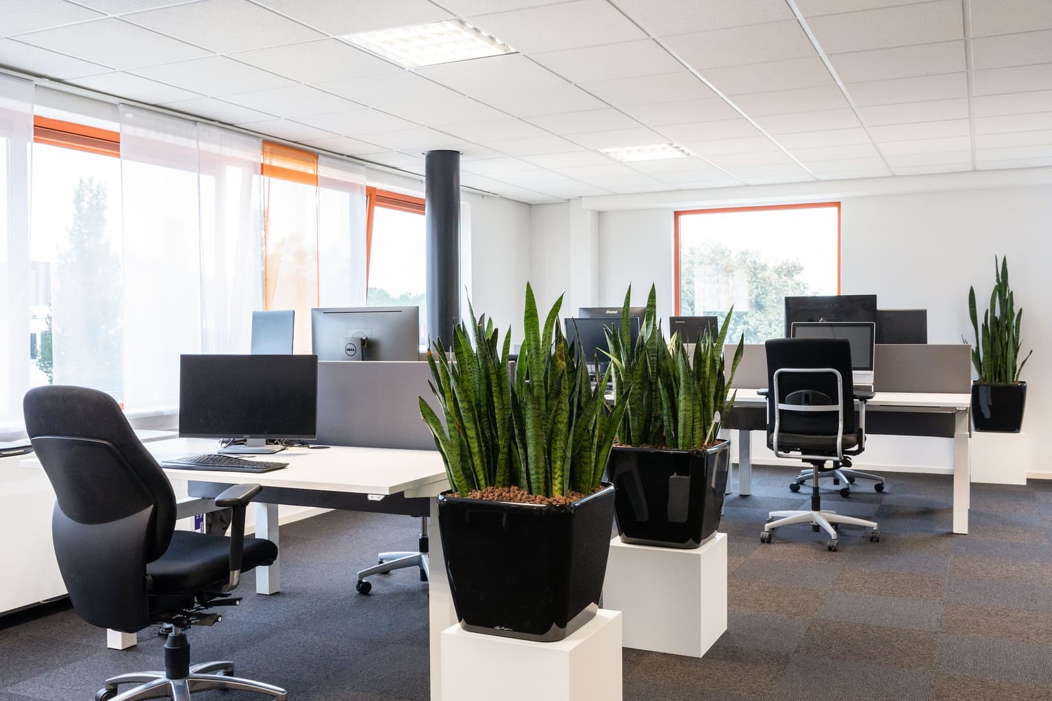 Kantoor met grijze vloertegels, witte zit-stabureaus en zwarte bureaustoelen. Naast de werkplekken staan grote potten met planten erin.